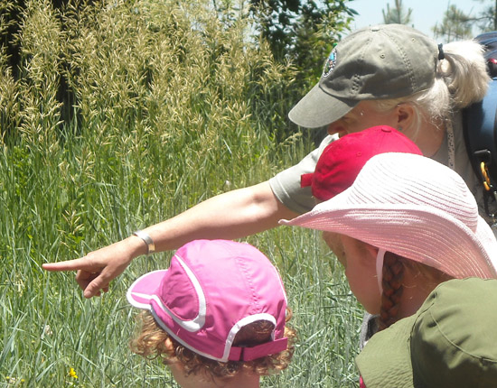 We can learn from a naturalist...